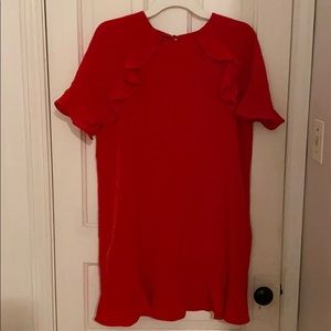 NWTags-NEVER WORN- Zara Formal Shift Dress